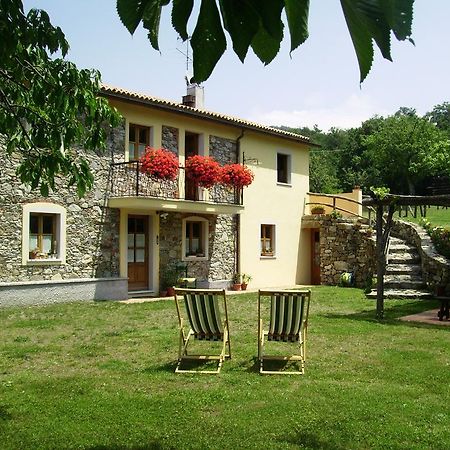 Il Girasole Bed and Breakfast Fosdinovo Rum bild