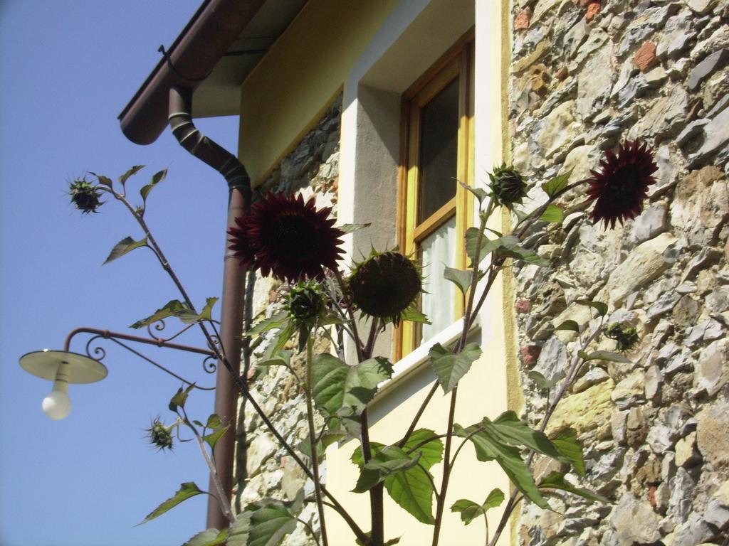 Il Girasole Bed and Breakfast Fosdinovo Exteriör bild
